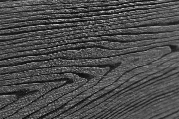 Bild 4 von WPC-Sichtschutzzaun CORTEZA - 1x Element + 2x Pfosten - Grau