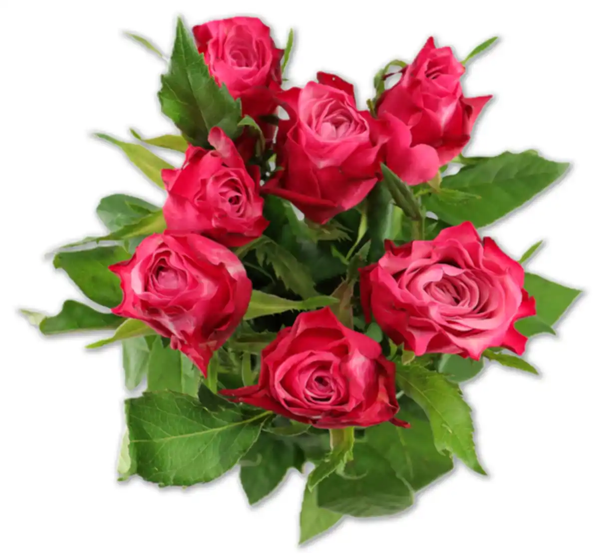 Bild 1 von Langstielige 50-cm-Rosen*