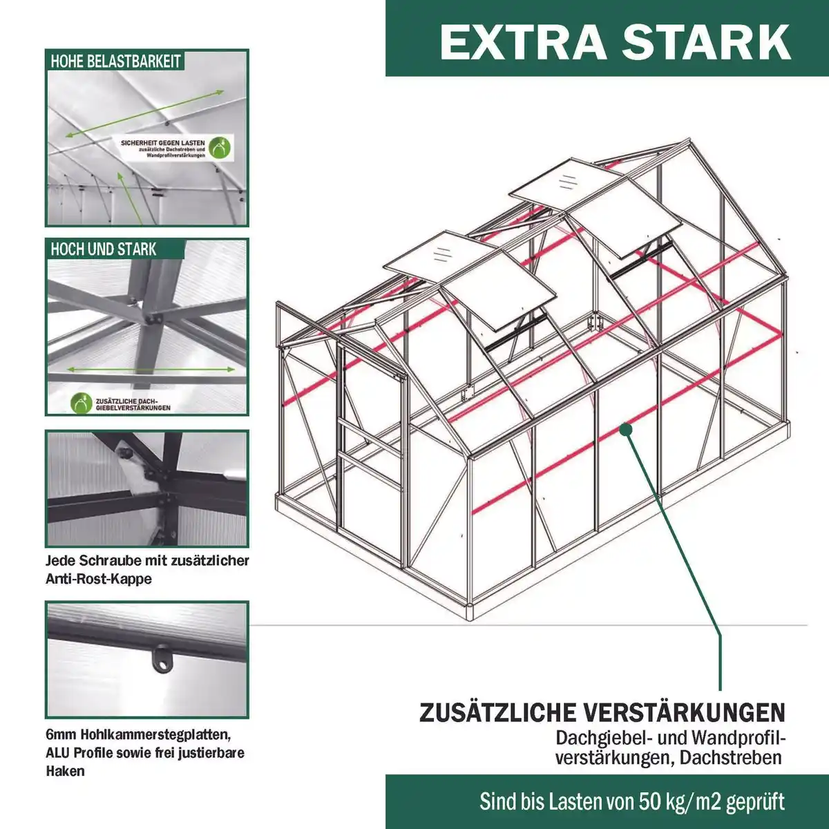 Bild 3 von Gewächshaus Alu OSAKA 310x190x195cm