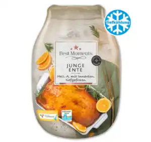 BEST MOMENTS Junge Ente