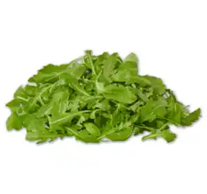 Rucola