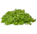 Bild 1 von Rucola