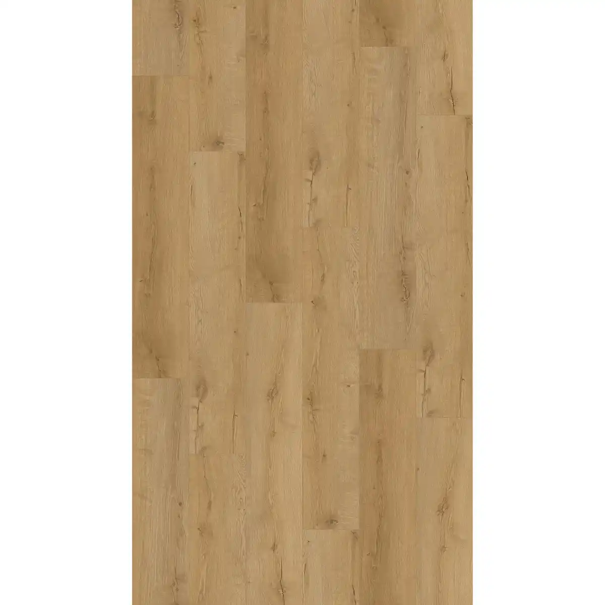 Bild 3 von Klick-Vinylboden Eiche Farum mit integrierter Trittschalldämmung