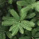 Bild 2 von Kunsttanne Dalbyn 180 cm inkl. Holzständer Indoor