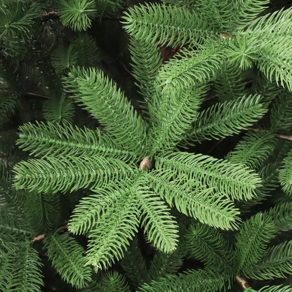 Bild 2 von Kunsttanne Dalbyn 180 cm inkl. Holzständer Indoor