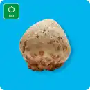 Bild 1 von   Bio Knollensellerie, Ursprung: siehe Etikett