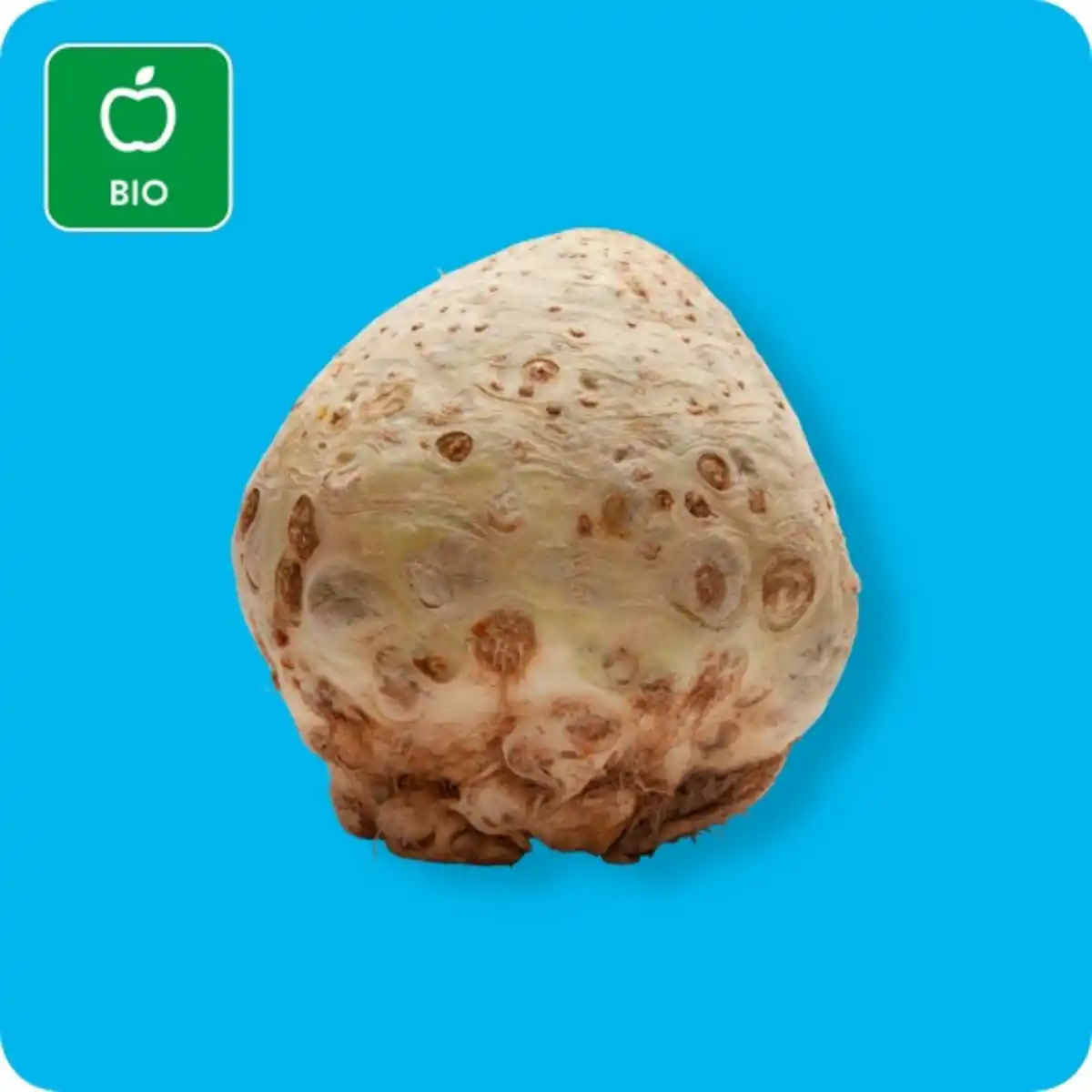 Bild 1 von   Bio Knollensellerie, Ursprung: siehe Etikett