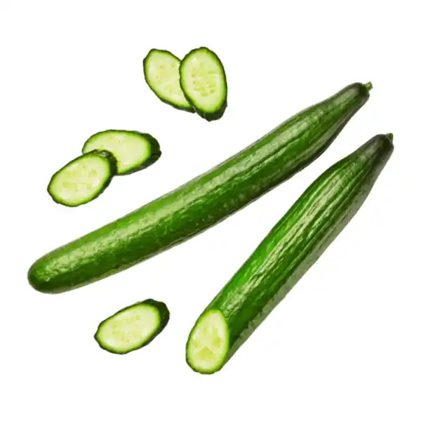 Bild 1 von BIO Gurke