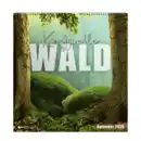 Bild 2 von Deko-Wand- / Wochenkalender