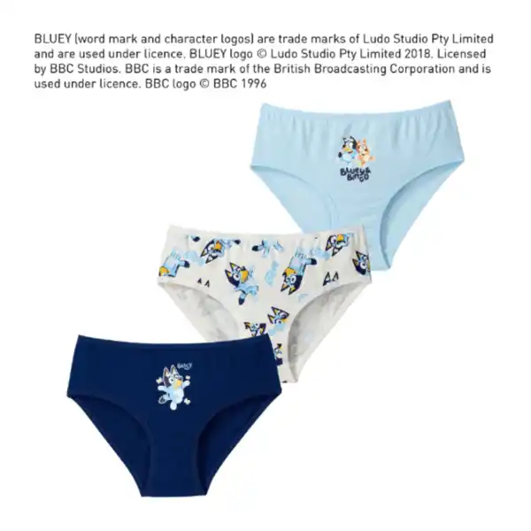 Bild 3 von BLUEY Unterwäsche