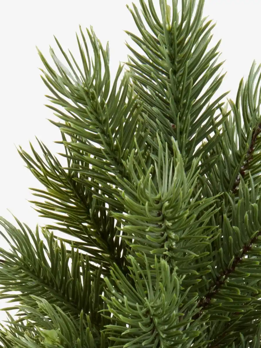 Bild 2 von Weihnachtsbaum GRAN H48cm grün