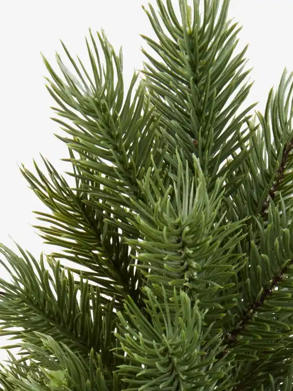 Bild 2 von Weihnachtsbaum GRAN H48cm grün