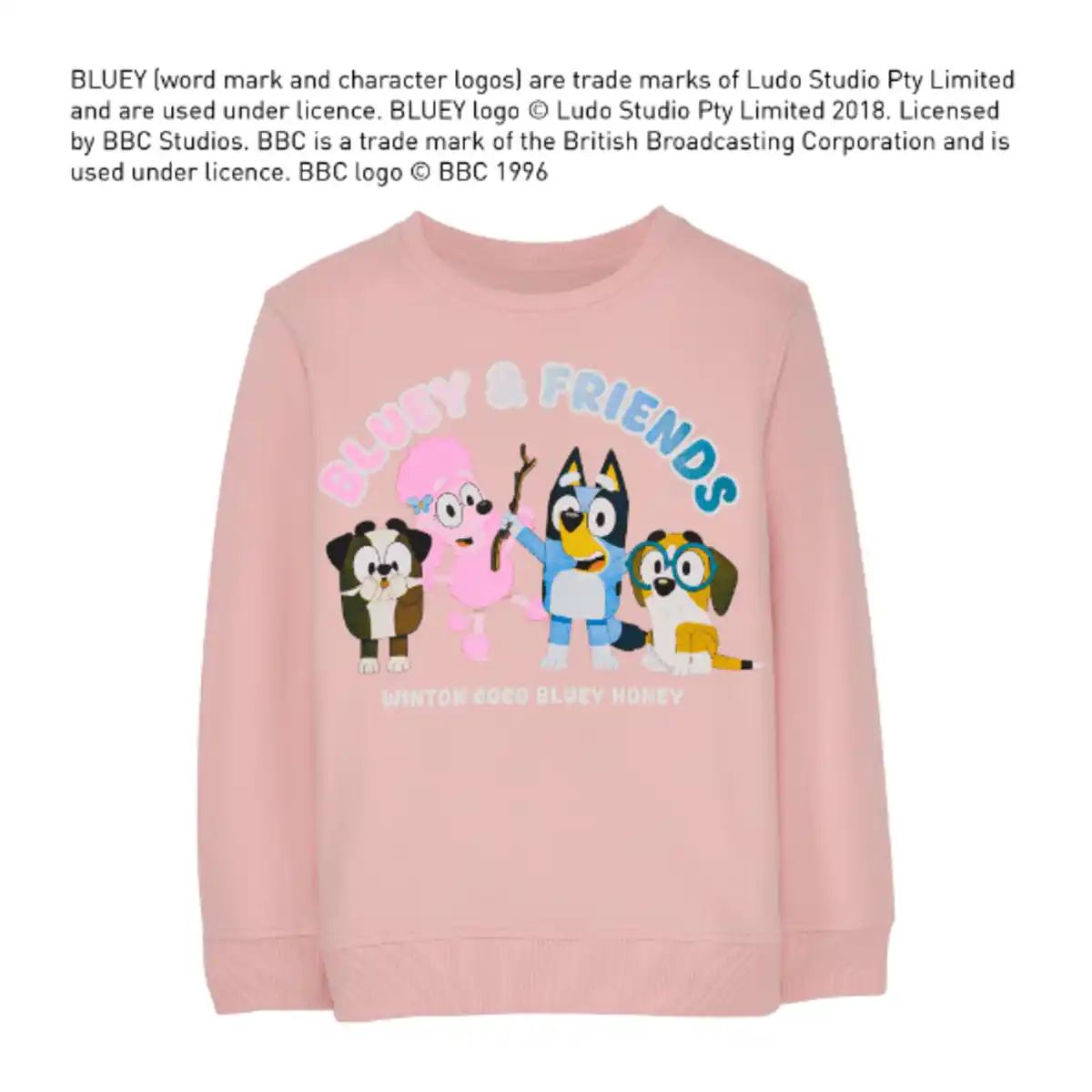 Bild 2 von BLUEY Pullover