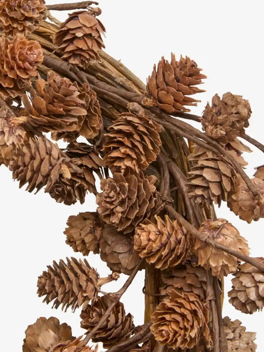 Bild 3 von Kranz HOD Ø40cm m/Tannenzapfen