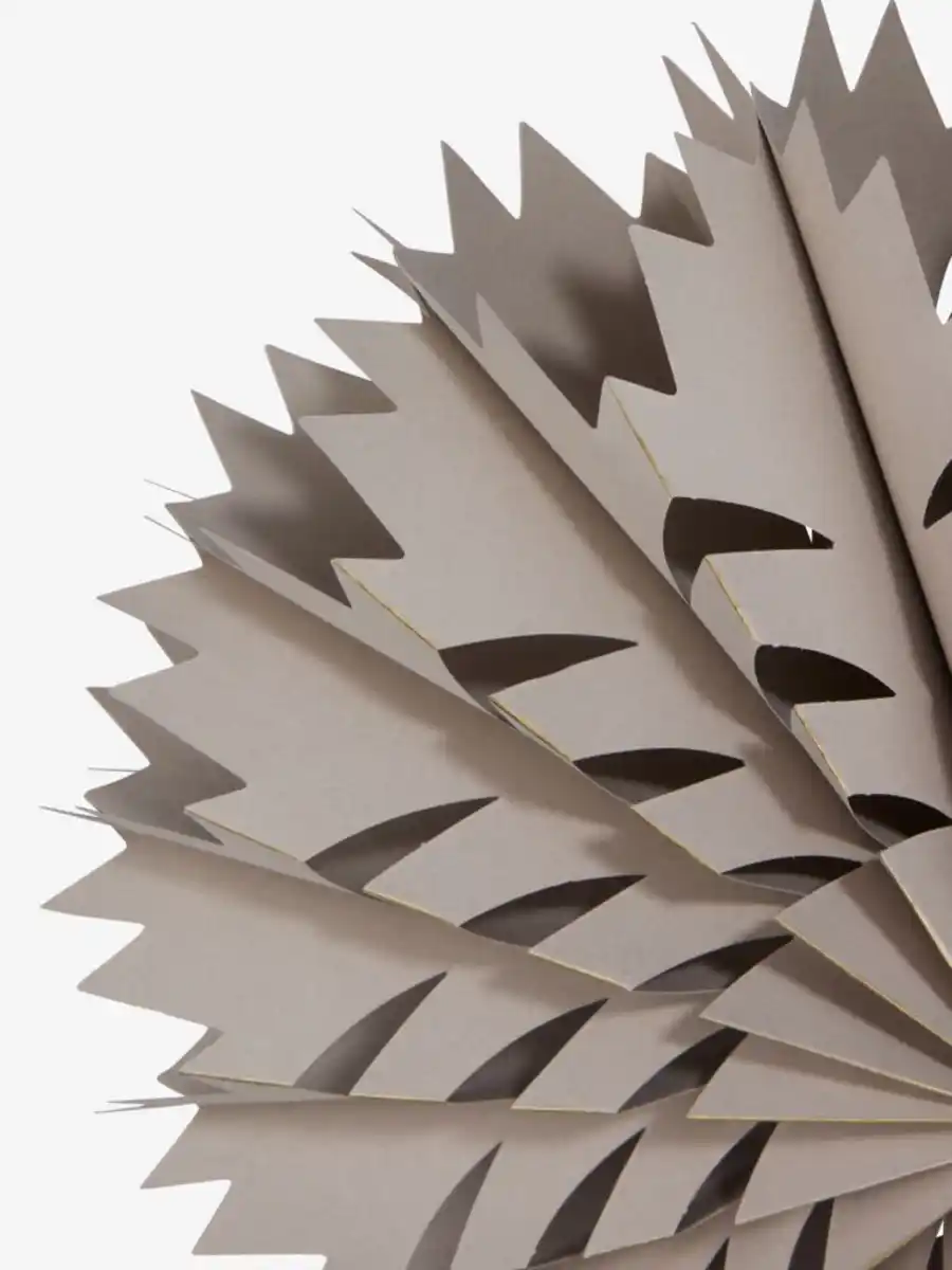 Bild 3 von Weihnachtsstern SEPTARIE Ø35cm beige