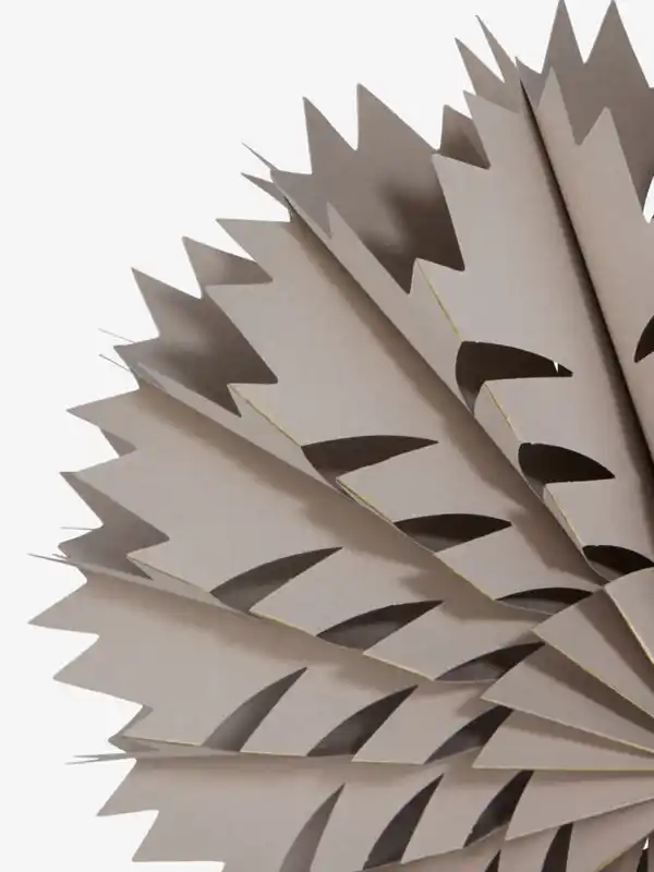 Bild 3 von Weihnachtsstern SEPTARIE Ø35cm beige