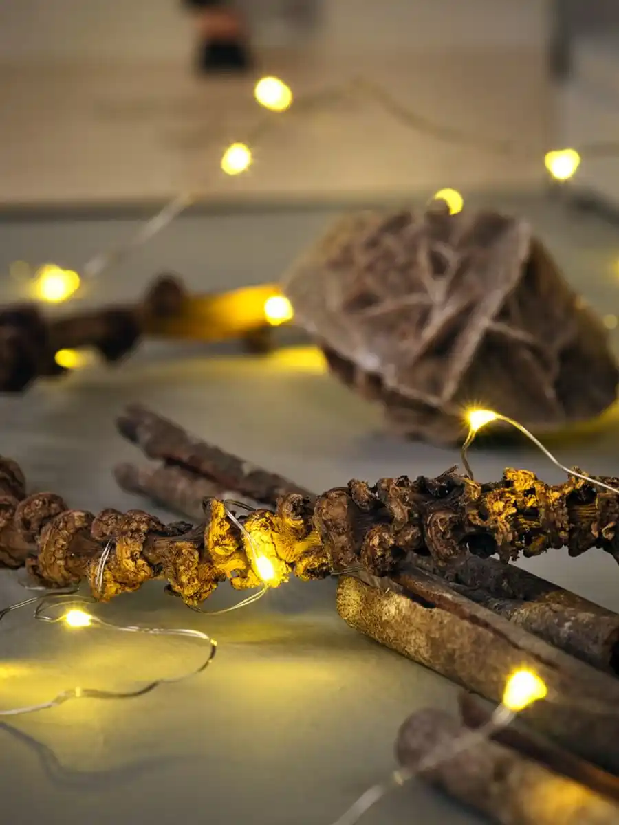 Bild 2 von Lichterkette GJALP L390cm m/40 LED