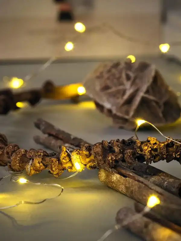 Bild 2 von Lichterkette GJALP L390cm m/40 LED