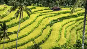 Singapur & Bali - Rundreise - Cityhighlights & Baden - 18 Tage