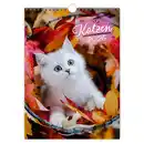 Bild 2 von Kalender 2026