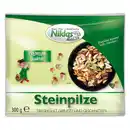 Bild 3 von Niklas Pilze