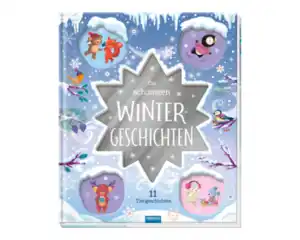 Buch Wintergeschichte