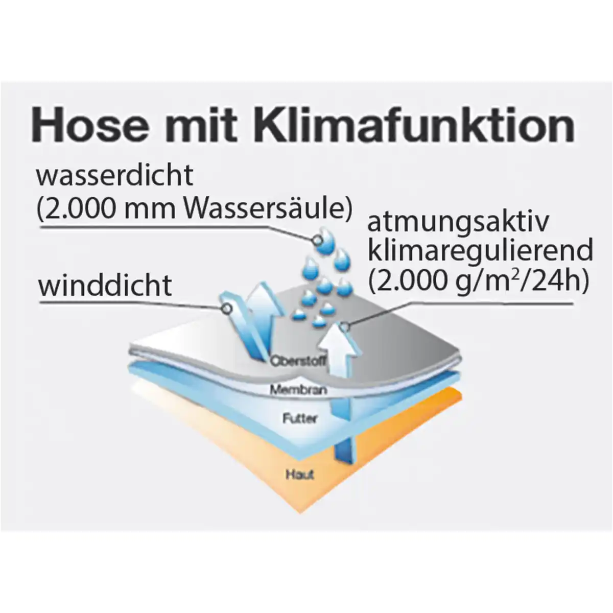 Bild 3 von Toptex Outdoor Wear Thermo-Jagd- und Freizeithose