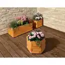 Bild 2 von Mr. GARDENER Blumenkasten, BxH: 50 x 35 cm, pinienfarben, Holz