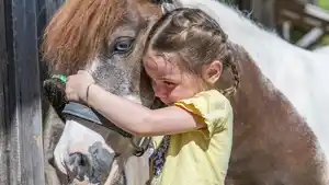 Deutschland - Bayerischer Wald- Familienhotel Runding***