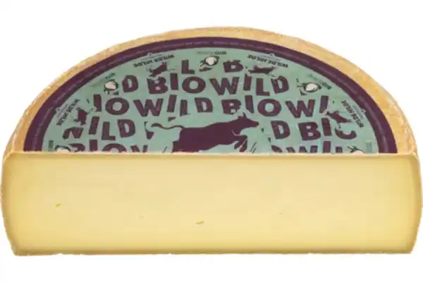 Bild 1 von Wilde Hilde