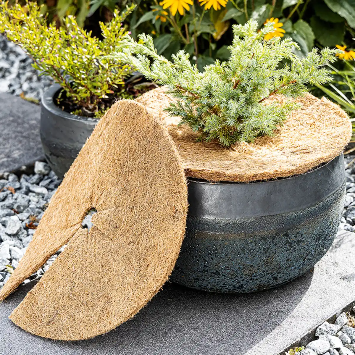 Bild 1 von Powertec Garden Kokos-Scheiben-Set 3tlg.