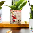 Bild 2 von Phalaenopsis Multiflora