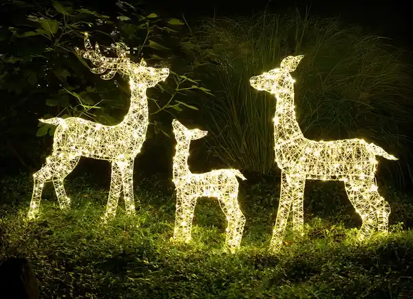 Bild 1 von LED-Rentierfamilie mit 700 LEDs mit Timer für Außenbereich Warmweiß