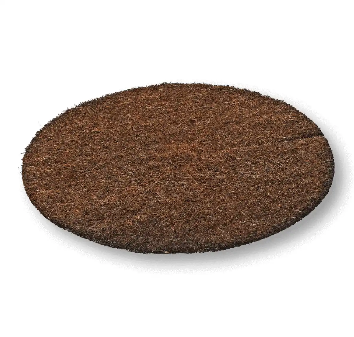 Bild 1 von Kokos-Scheibe