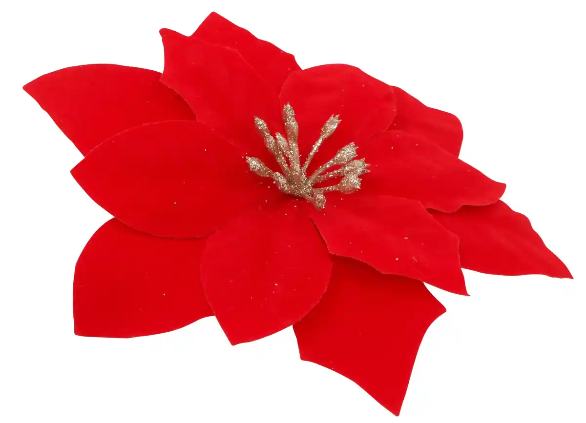 Bild 1 von Künstlicher Weihnachtsstern mit Clip