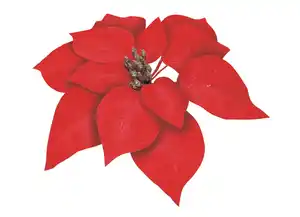 Weihnachtsstern mit Clip