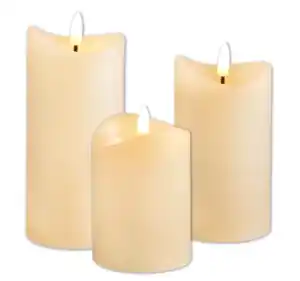 LED-Echtwachskerzen*