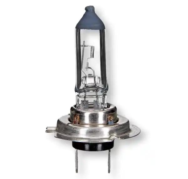 Bild 1 von Halogenlampen »Vision«