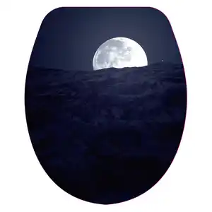 WC-Sitz 'Moon' mit Absenkautomatik Duroplast