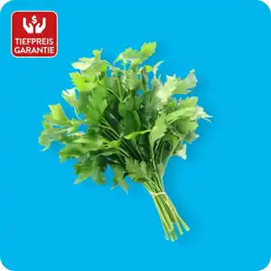 Petersilie, glatt, Ursprung: siehe Etikett
