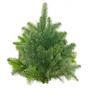 GARDENLINE Tannenhandbunde 1.000 g, Nordmann