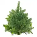 Bild 1 von GARDENLINE Tannenhandbunde 1.000 g, Nordmann