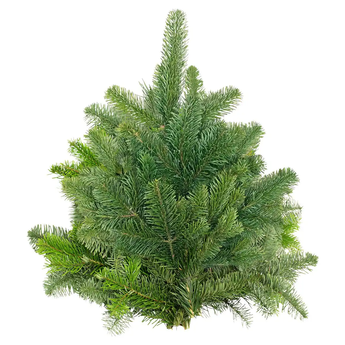 Bild 1 von GARDENLINE Tannenhandbunde 1.000 g, Nordmann