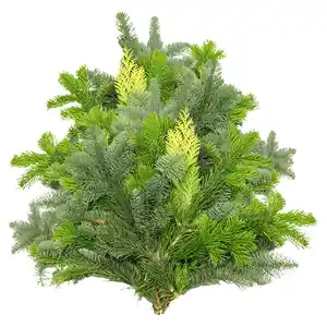 GARDENLINE Tannenhandbunde 1.000 g, Mix