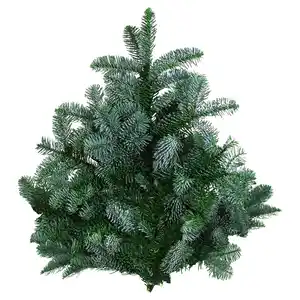 GARDENLINE Tannenhandbunde 1.000 g, Nobilis