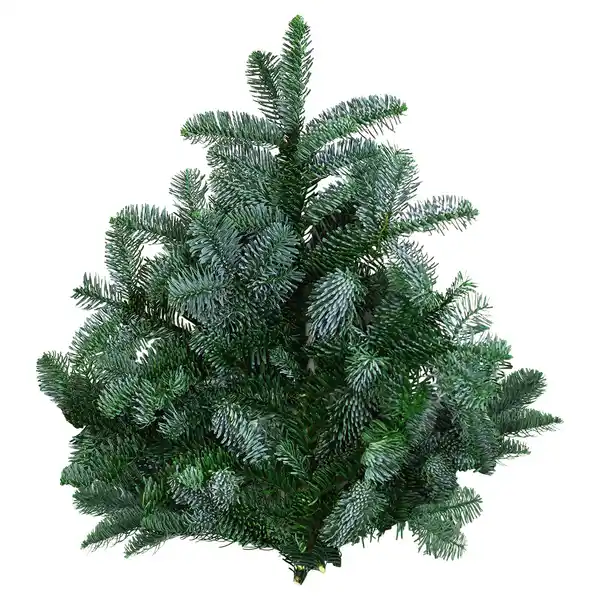 Bild 1 von GARDENLINE Tannenhandbunde 1.000 g, Nobilis