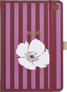 IDEENWELT Terminplaner Streifen B6 2026