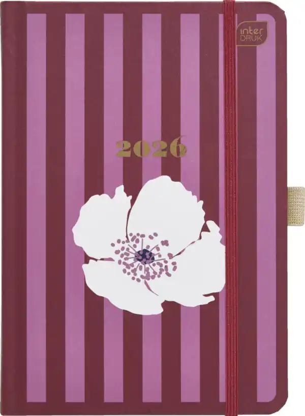 Bild 1 von IDEENWELT Terminplaner Streifen B6 2026