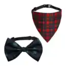 Bild 1 von CACHET&ROMEO Halsband