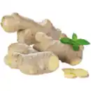 Bild 1 von Bio Ingwer